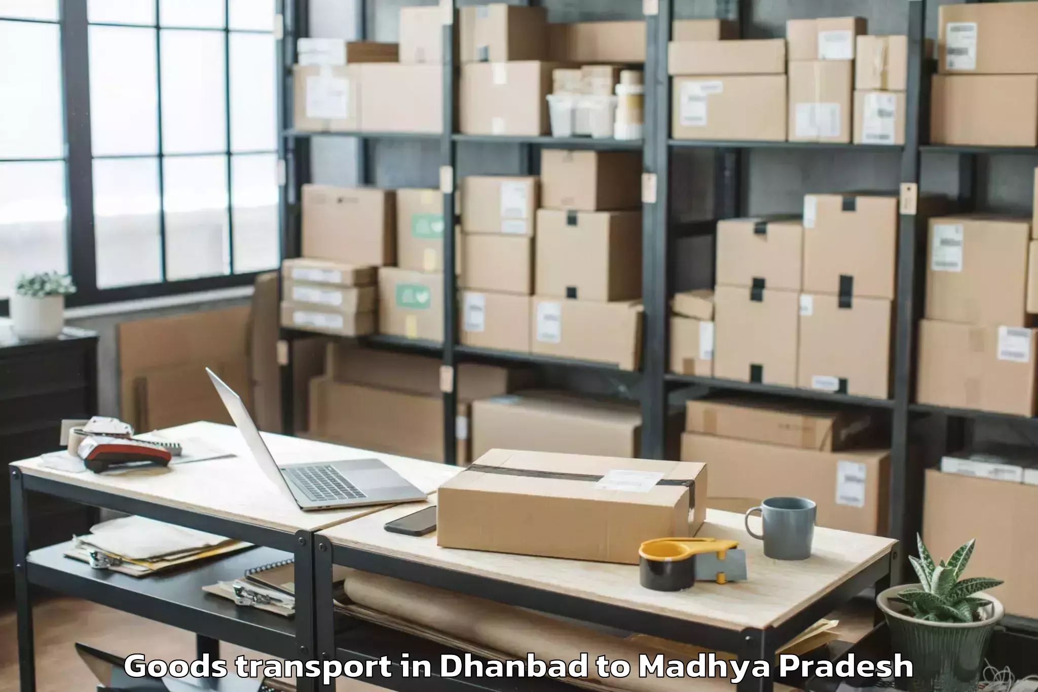 Easy Dhanbad to Sarni Goods Transport Booking